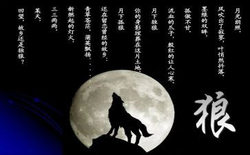 狼王梦心得体会优质5篇