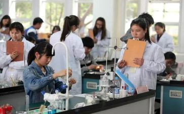 理化教研组工作计划参考6篇