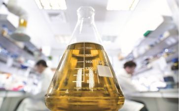 理化教研组工作计划最新6篇