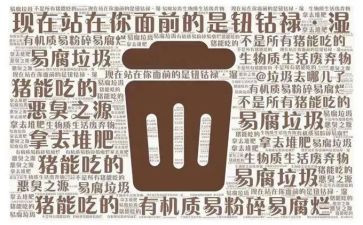 捡垃圾活动的总结参考6篇