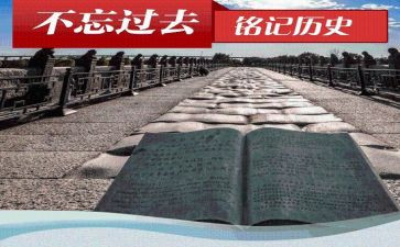 历史教师个人工作总结优秀8篇