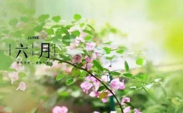 幼儿园大班六月工作计划5篇