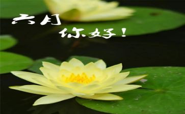 六月教师工作总结6篇