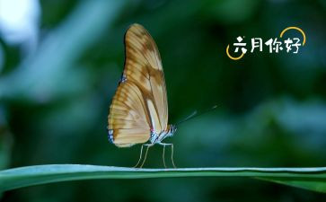 六月安全心得5篇