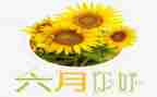 小小班六月份工作总结5篇
