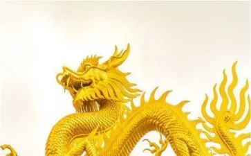 我是龙的作文7篇
