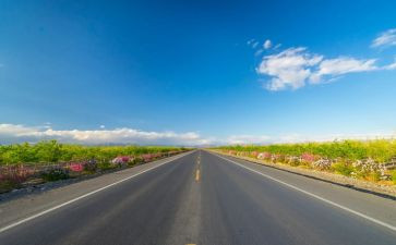 公路局述职述廉报告6篇