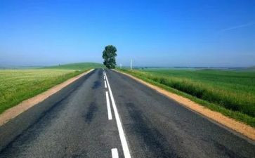 高速公路收费员站年度总结6篇