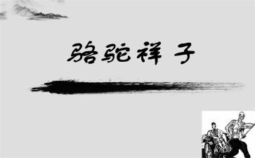 骆驼湾心得体会最新6篇