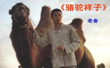 骆驼湾心得体会参考5篇