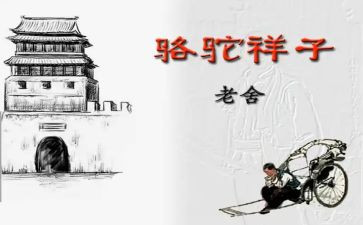 读骆驼祥子的心得体会800字8篇