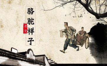 骆驼祥子2023章读后感5篇