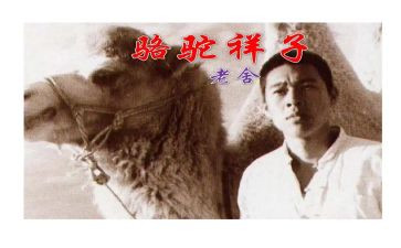 骆驼的祥子心得体会模板6篇
