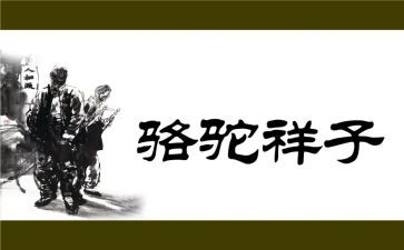 骆驼祥子的分章读后感参考5篇