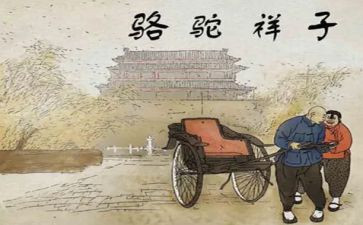 骆驼的祥子心得体会推荐5篇