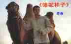 骆驼湾心得体会参考5篇