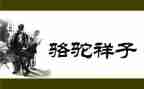 骆驼祥子的读后感100字参考5篇