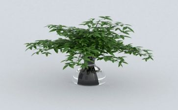 绿色低碳主题演讲稿7篇
