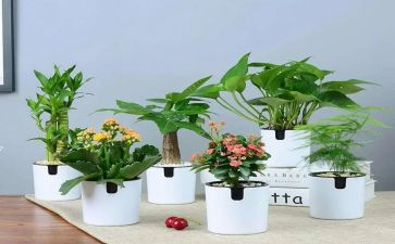 绿化工实训心得体会5篇