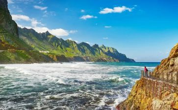 尘的旅行读后感模板6篇