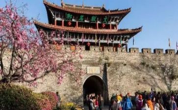2024旅游年终工作总结参考6篇