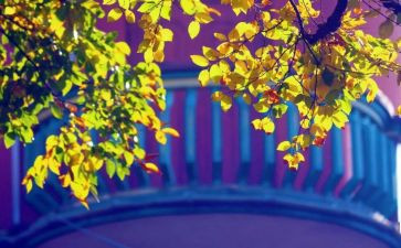 高考满分读后感7篇