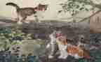 我的猫爸爸作文四百字5篇