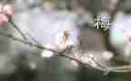 读《张桂梅》心得体会通用5篇