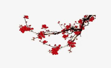 梅花魂的读后感6篇