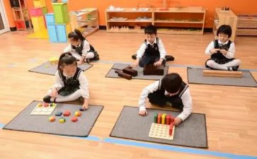 幼儿园蒙氏老师个人总结优秀6篇