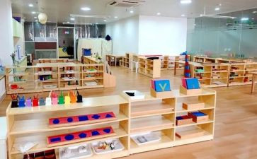幼儿园蒙氏教学总结7篇