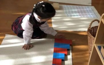 幼儿园蒙氏教研工作计划精选5篇