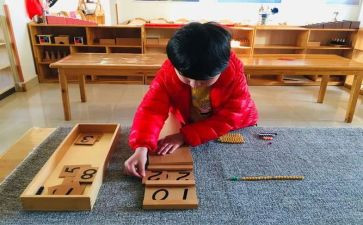 蒙氏幼儿园班级工作总结模板8篇