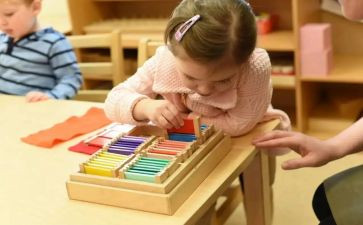 蒙台梭利的培训心得8篇