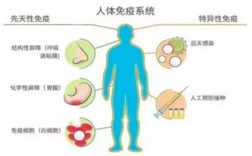 2024年乡镇卫生院免疫规划工作总结5篇
