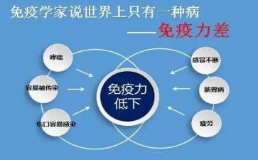 免疫个人总结5篇