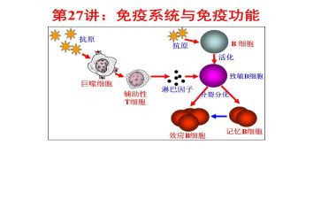 2024年计划免疫工作总结8篇