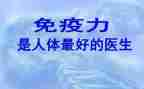 计划免疫年终工作总结6篇