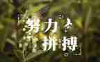 读名人传记心得体会7篇