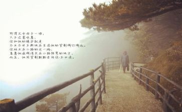 《目送》读后感5篇