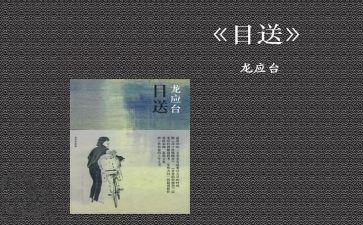 《目送》读后感通用5篇
