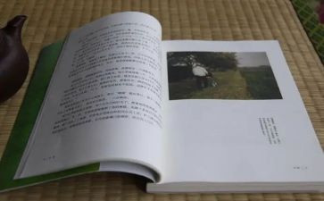 龙应台目送读后感800字5篇