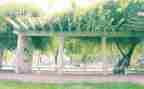 回小学母校演讲稿参考6篇
