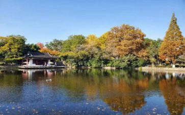 南京租房合同模板5篇