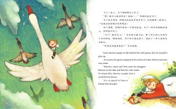 尼尔斯骑鹅旅行记后感读后感6篇