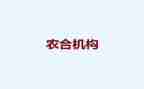农合自查报告推荐5篇