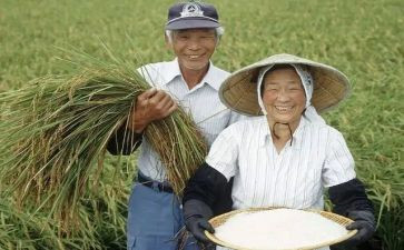老农民调查报告精选7篇