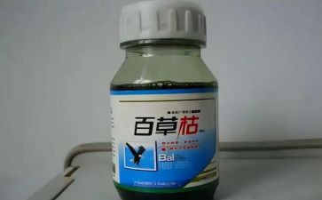 农药学心得体会精选7篇
