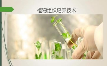 培养孩子心得体会8篇