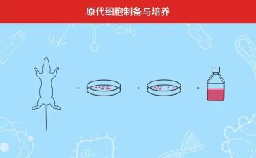 读创新能力培养的心得体会5篇